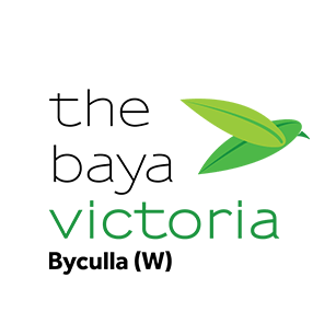 Baya Victoria